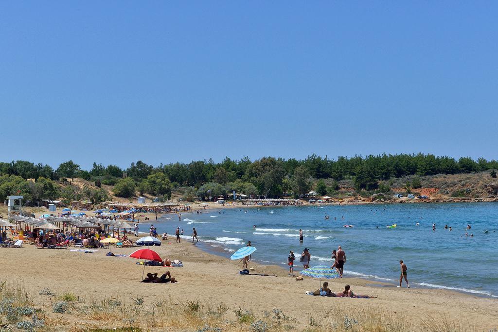 Anna'S Sea House Near To A Sandy Beach! Káto Darátsos Rom bilde